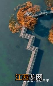 一眼心动!挖到了15个杭州宝藏赏秋地,现在去秒出大片