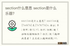 section什么意思 section是什么乐器？