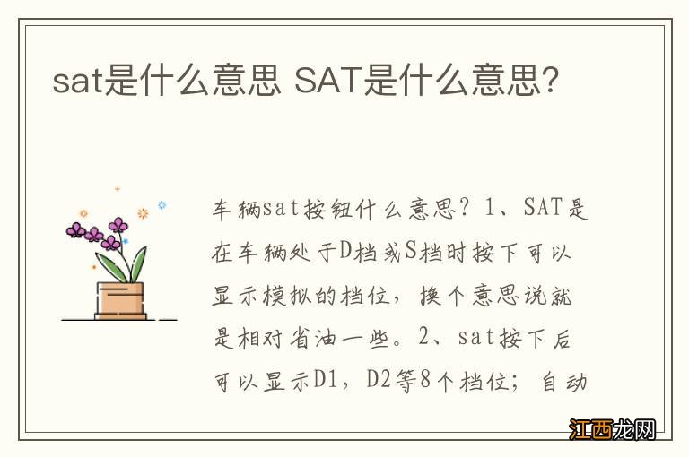 sat是什么意思 SAT是什么意思？