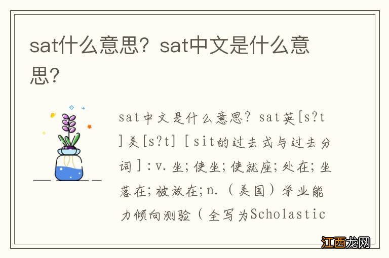 sat什么意思？sat中文是什么意思？