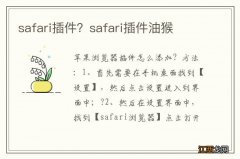 safari插件？safari插件油猴