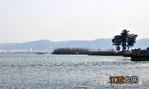 云南有个回族村依山傍水风景秀丽，相传其祖先是跟随忽必烈入滇的