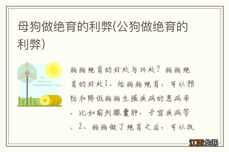 公狗做绝育的利弊 母狗做绝育的利弊