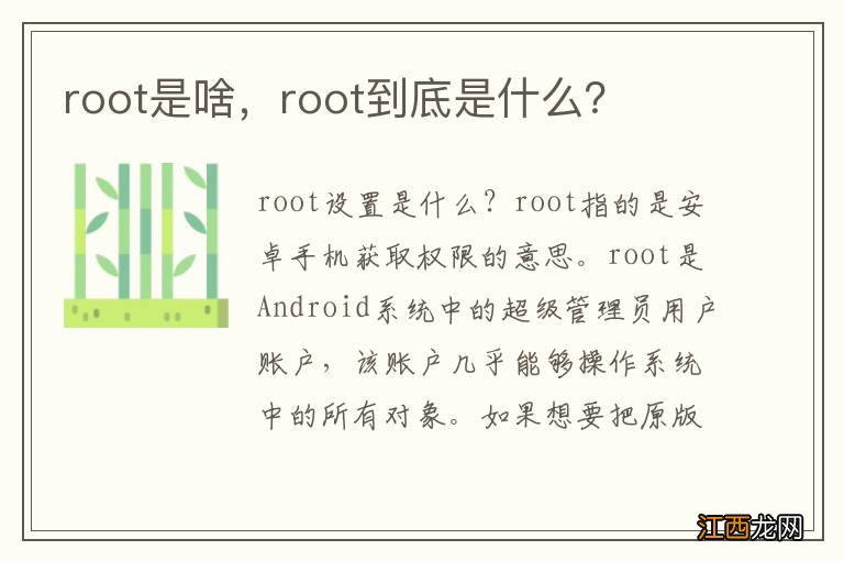 root是啥，root到底是什么？