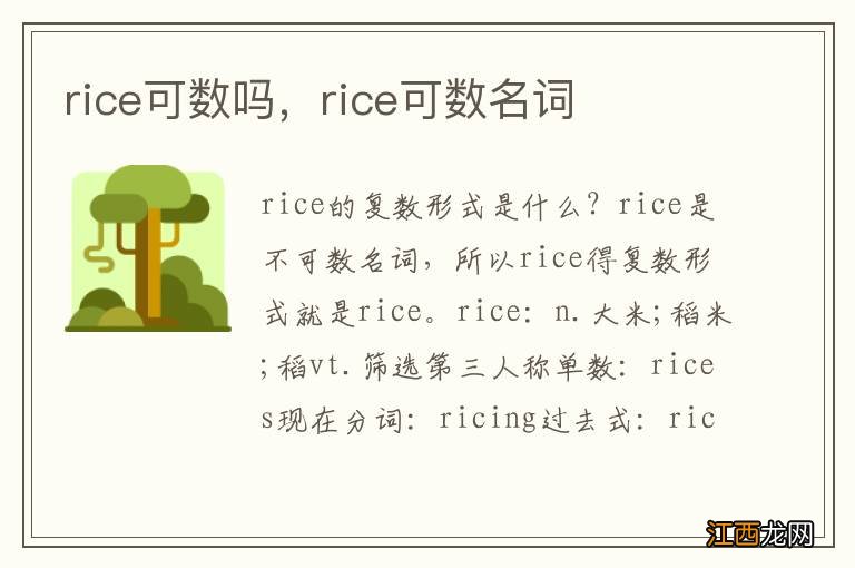 rice可数吗，rice可数名词