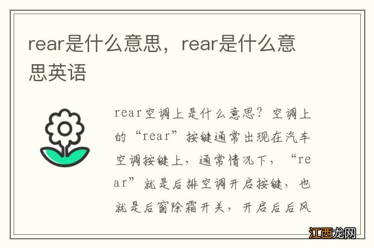 rear是什么意思，rear是什么意思英语