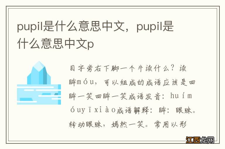 pupil是什么意思中文，pupil是什么意思中文p