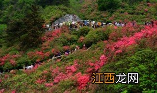 武汉十大旅游景点排名 武汉十大旅游景点介绍