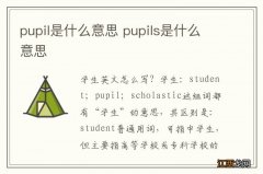 pupil是什么意思 pupils是什么意思