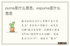 puma是什么意思，espuma是什么意思