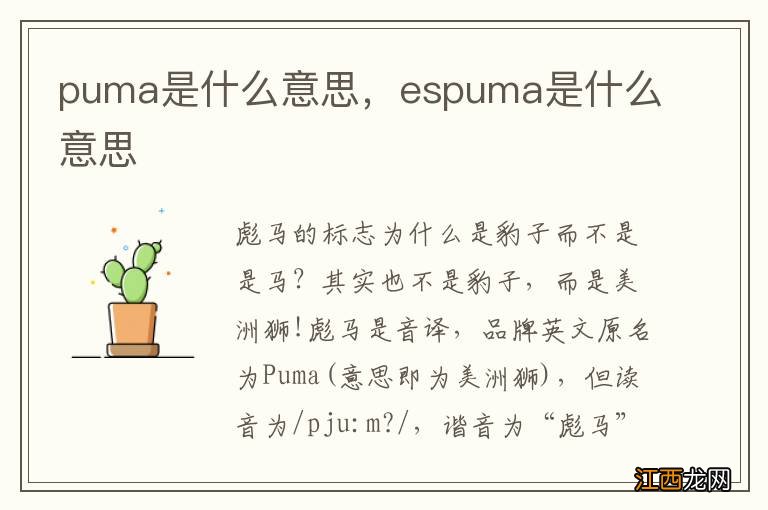 puma是什么意思，espuma是什么意思