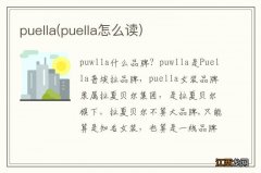 puella怎么读 puella