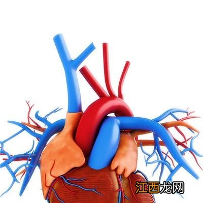 左回旋支细小是怎么回事