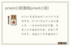 脱轨priest小说 priest小说