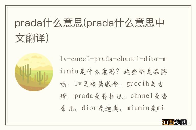 prada什么意思中文翻译 prada什么意思