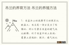 吊兰的养育方法 吊兰的养殖方法