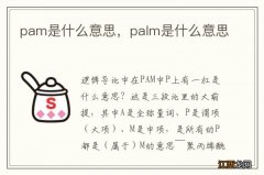 pam是什么意思，palm是什么意思