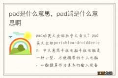 pad是什么意思，pad端是什么意思啊