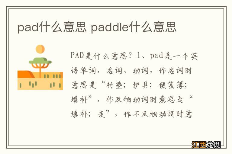 pad什么意思 paddle什么意思