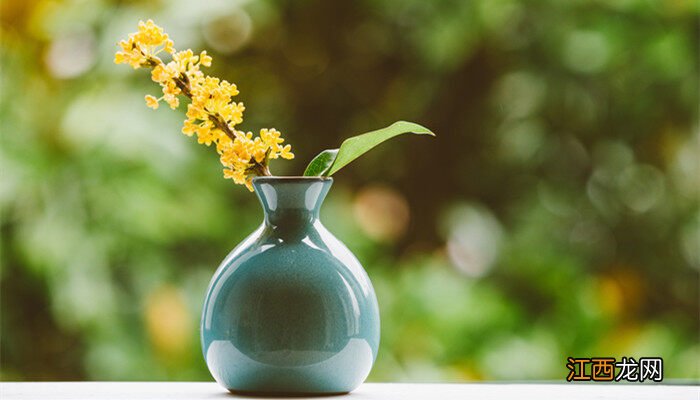 室内镇宅的花卉绿植有哪些 镇宅的花卉绿植有哪些