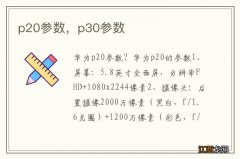 p20参数，p30参数