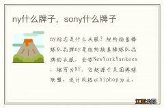 ny什么牌子，sony什么牌子