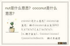 nut是什么意思？coconut是什么意思？