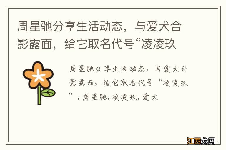 周星驰分享生活动态，与爱犬合影露面，给它取名代号“凌凌玖”