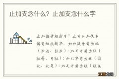 止加支念什么？止加支念什么字