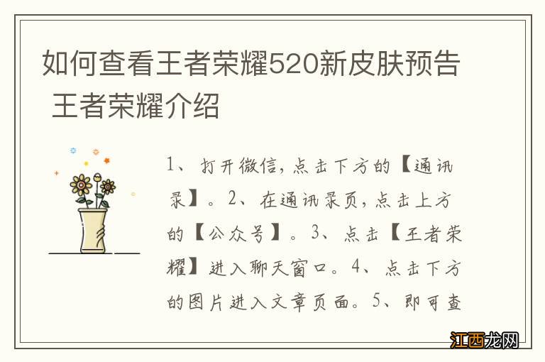 如何查看王者荣耀520新皮肤预告 王者荣耀介绍