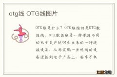 otg线 OTG线图片