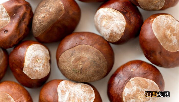 七叶树果实类型 七叶树果实叫什么