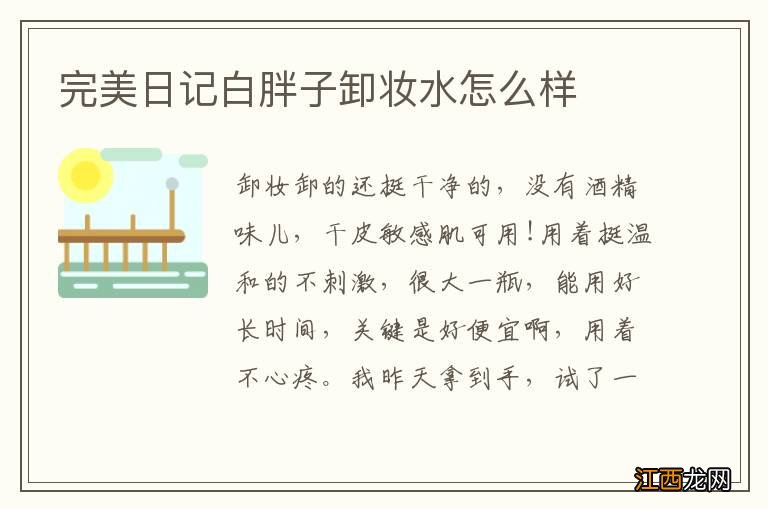 完美日记白胖子卸妆水怎么样