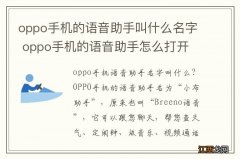 oppo手机的语音助手叫什么名字 oppo手机的语音助手怎么打开