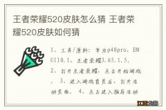 王者荣耀520皮肤怎么猜 王者荣耀520皮肤如何猜