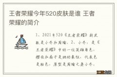 王者荣耀今年520皮肤是谁 王者荣耀的简介