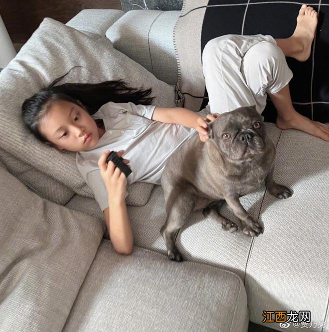 李小璐否认和赵涛恋情绯闻:我身边就该都是女生