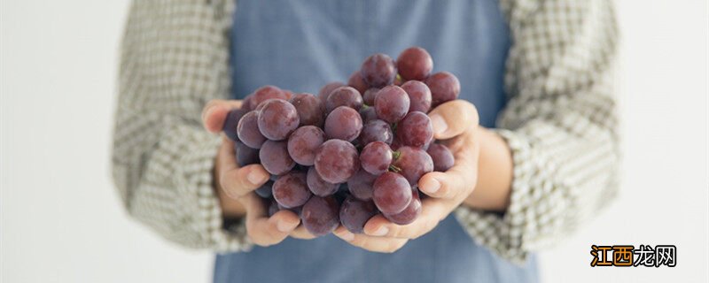 葡萄是扦插还是压条还是嫁接 葡萄是扦插还是压条