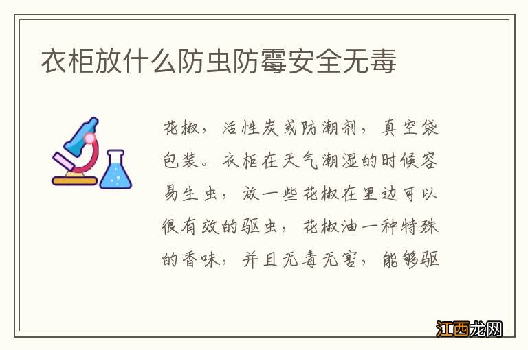 衣柜放什么防虫防霉安全无毒