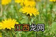 宝宝便秘怎么办 宝宝便秘的应对方案