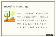 meeting meetings