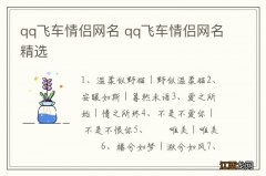 qq飞车情侣网名 qq飞车情侣网名精选