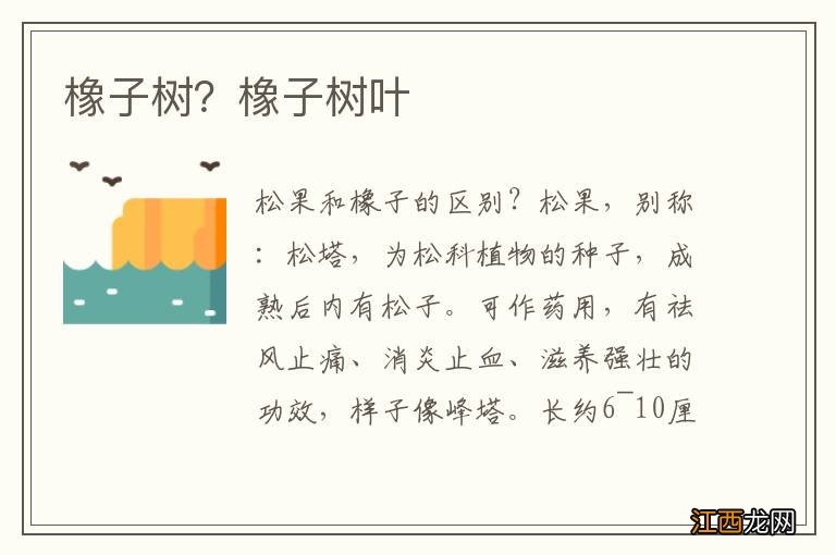 橡子树？橡子树叶