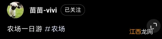 苗苗携一家农场游玩,郑恺紧抱女儿满脸宠溺,2岁Ana颜值高神似爸