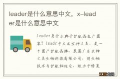 leader是什么意思中文，x-leader是什么意思中文