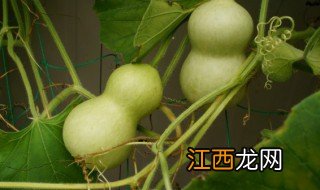 车里挂葫芦寓意什么，车里挂葫芦寓意什么生肖