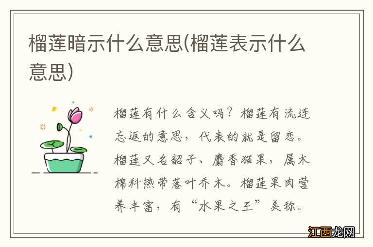 榴莲表示什么意思 榴莲暗示什么意思