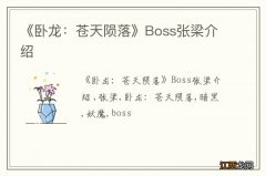 《卧龙：苍天陨落》Boss张梁介绍