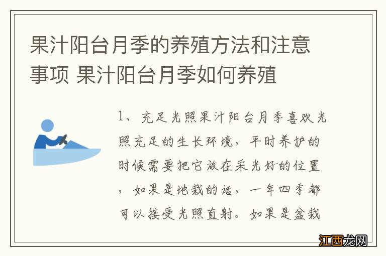 果汁阳台月季的养殖方法和注意事项 果汁阳台月季如何养殖