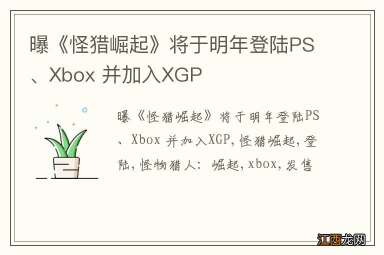 曝《怪猎崛起》将于明年登陆PS、Xbox 并加入XGP